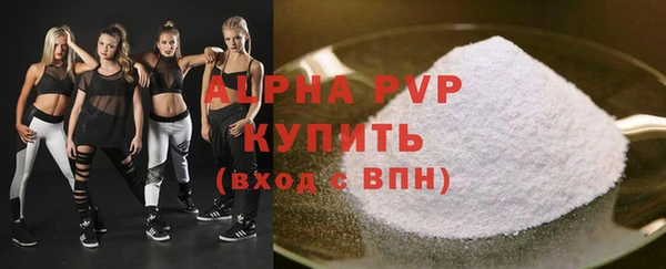 стаф Алексин